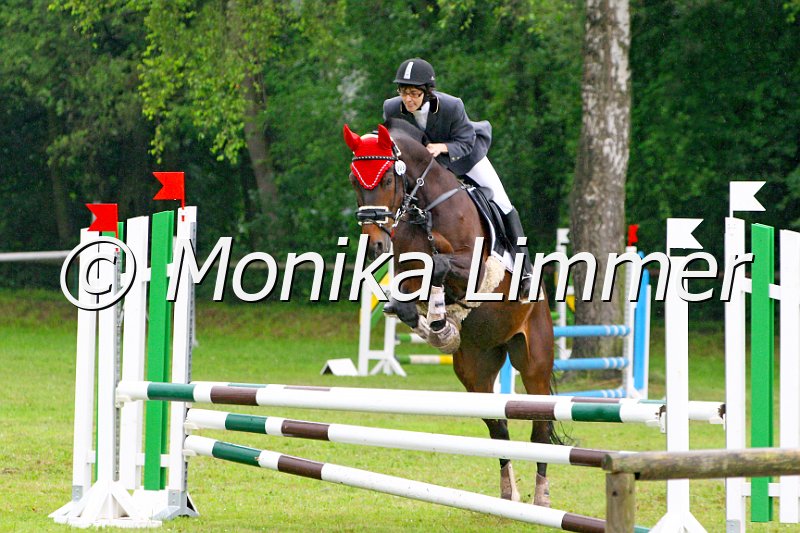 007M7653_Adorno_Spring WB_E_e.JPG